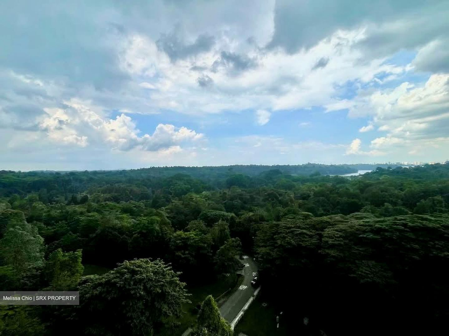 Tree House (D23), Condominium #550705781
